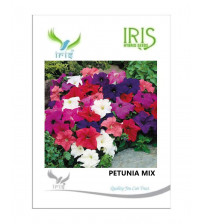 Iris Imported Petunia Mix 900 Seeds